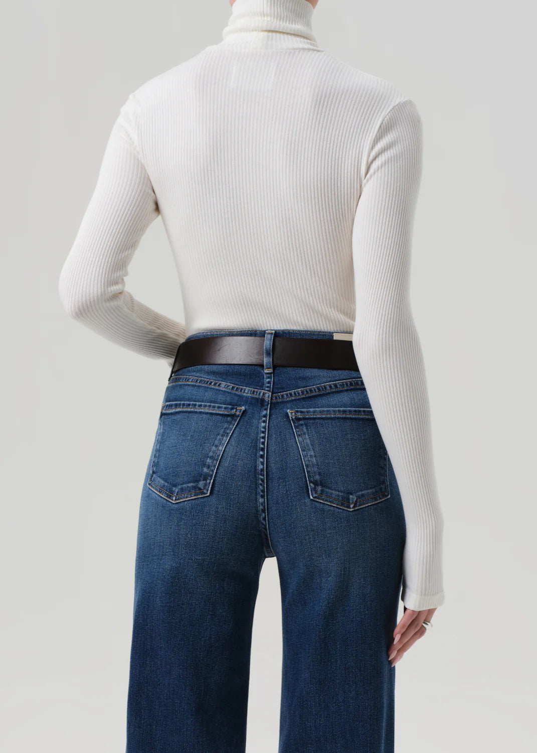 Caradene Turtleneck in Pashmina