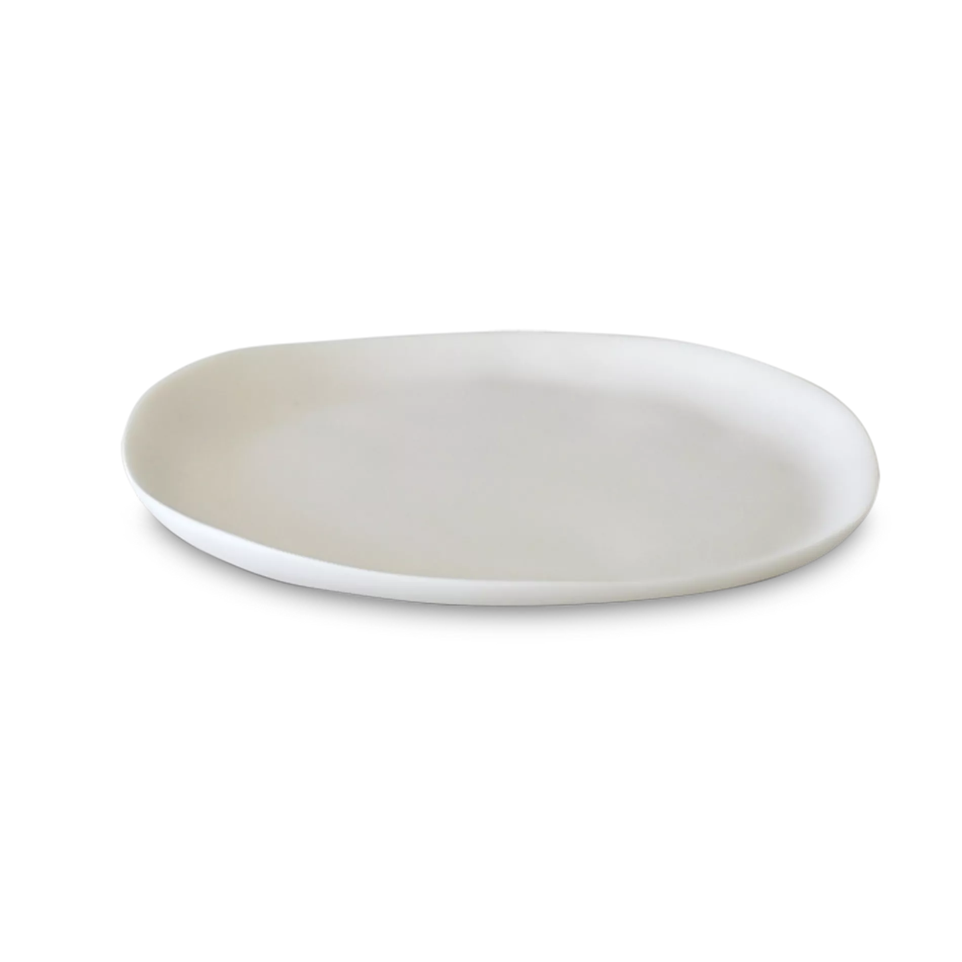 Sculpt Large Plate