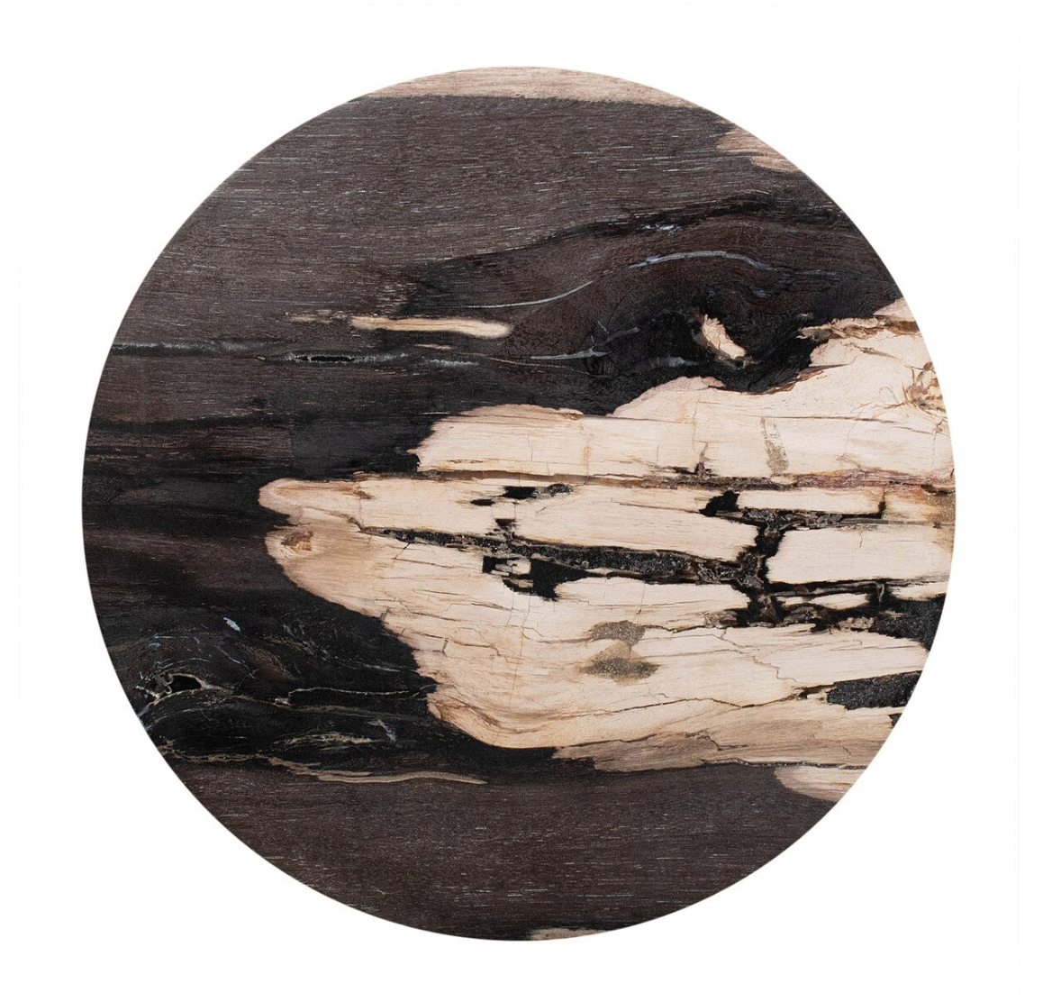 JE Petrified Wood Top Accent Table