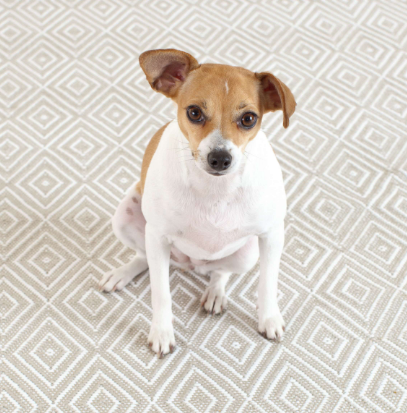 Dash & Albert - Diamond Indoor/Outdoor Rug